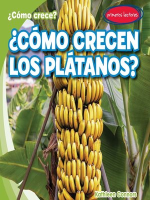 ¿Cómo crecen los plátanos? (How Do Bananas Grow?) - ebook